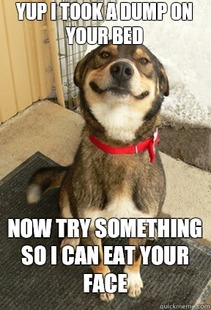 Good Dog Greg
