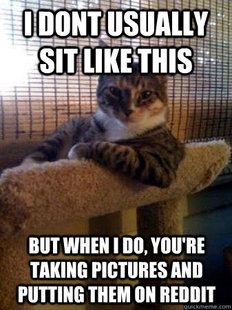 The Most Interesting Cat in the World