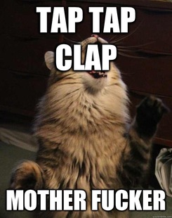 Fuck You Cat Memes Quickmeme