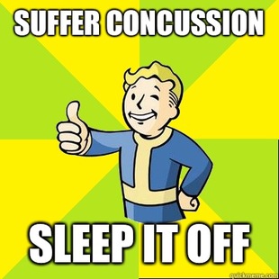 Fallout new vegas