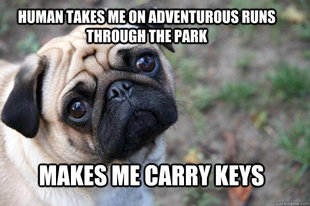 First World Dog problems