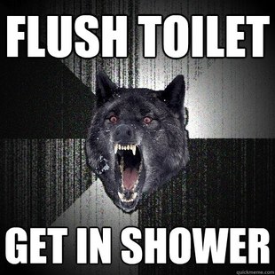 Insanity Wolf
