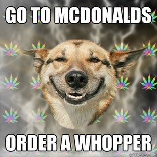 Stoner Dog