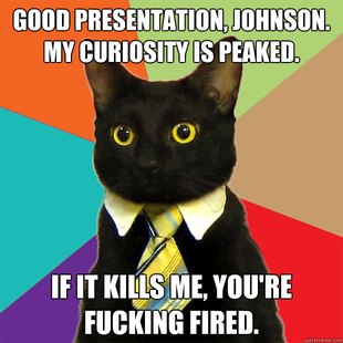 Business Cat