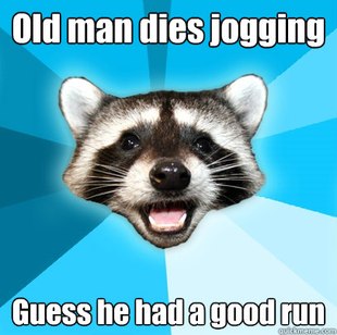 Lame Pun Coon