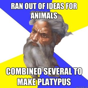 Advice God