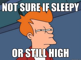 Futurama Fry
