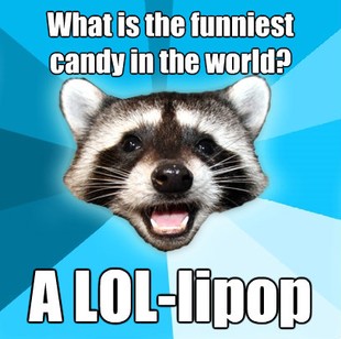 Lame Pun Coon