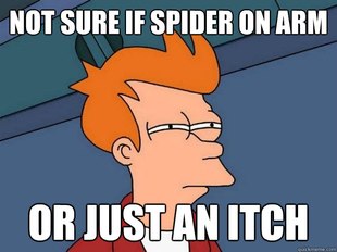 Futurama Fry