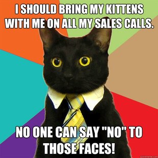 Business Cat