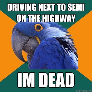 Paranoid Parrot