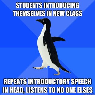 Socially Awkward Penguin