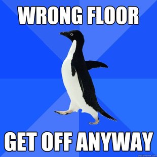 Socially Awkward Penguin