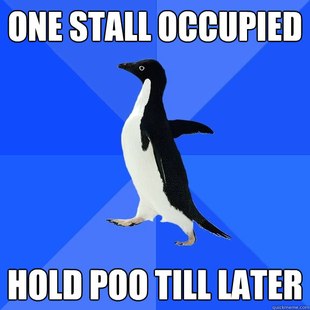 Socially Awkward Penguin