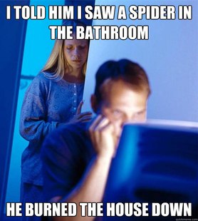 Redditors Wife
