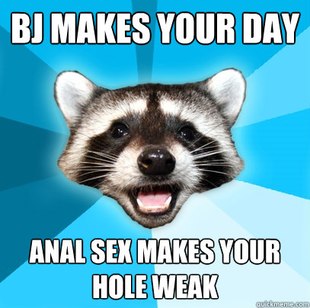 Lame Pun Coon
