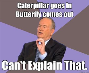 Bill O Reilly
