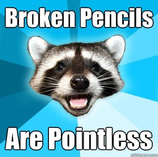 Lame Pun Coon
