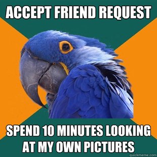 Paranoid Parrot