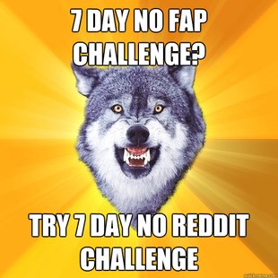 Courage Wolf
