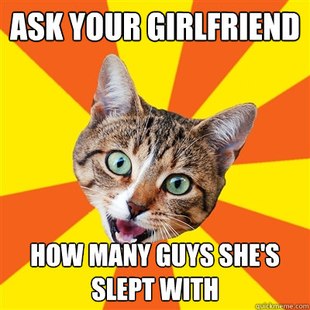 Bad Advice Cat