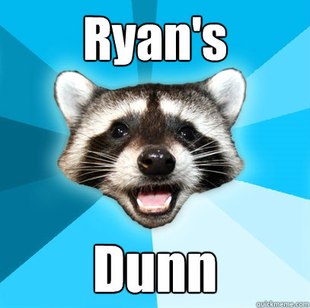Lame Pun Coon