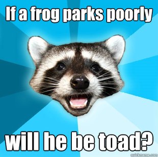 Lame Pun Coon