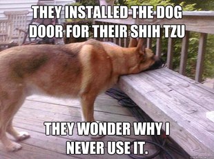 First World Dog problems
