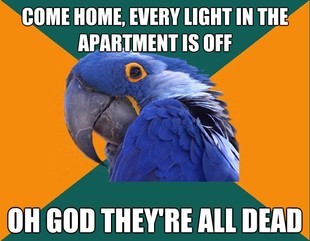 Paranoid Parrot