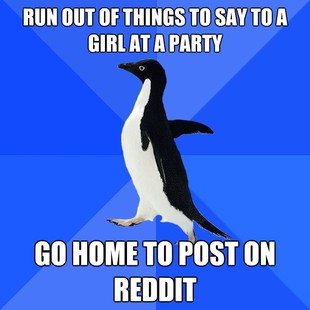 Socially Awkward Penguin