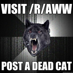 Insanity Wolf