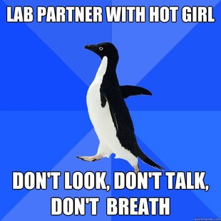 Socially Awkward Penguin