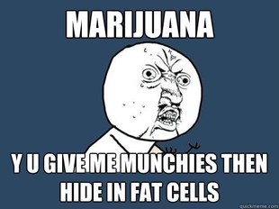 Y U No