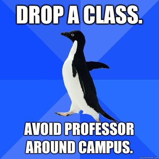 Socially Awkward Penguin