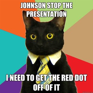 Business Cat