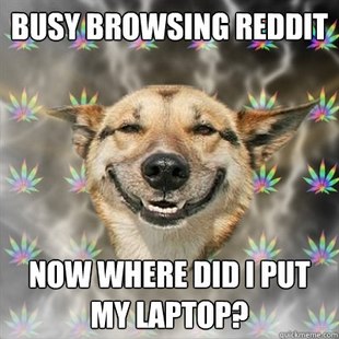 Stoner Dog