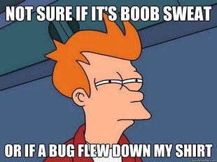 Futurama Fry