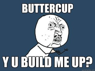 Y U No