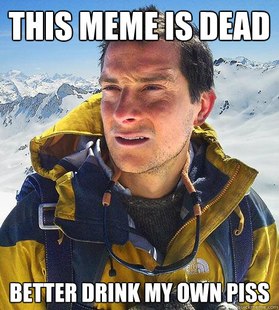 Bear Grylls
