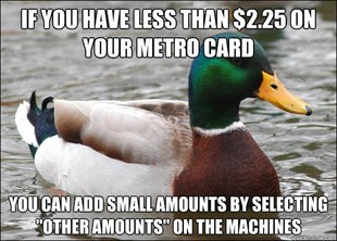 Actual Advice Mallard