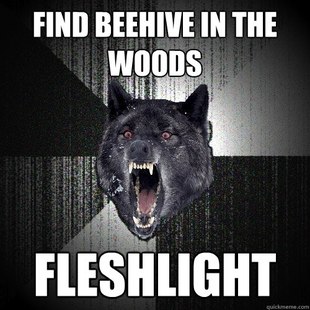 Insanity Wolf