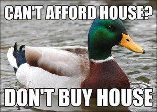 Actual Advice Mallard