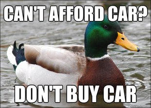 Actual Advice Mallard