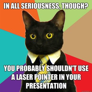Business Cat