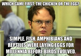 Schrute