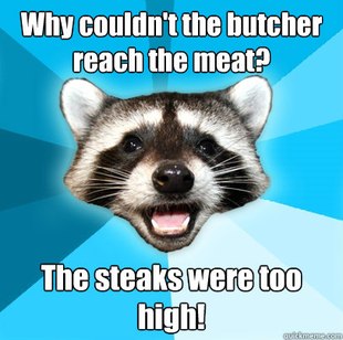 Lame Pun Coon