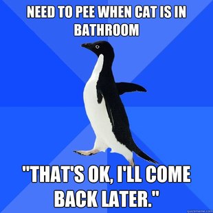Socially Awkward Penguin