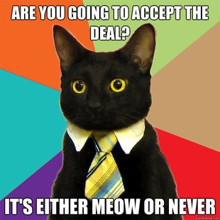 Business Cat