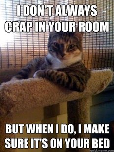 The Most Interesting Cat in the World