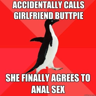 Socially Awesome Penguin